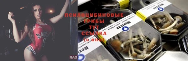 гашиш Бородино