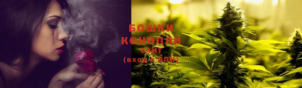стафф Бронницы