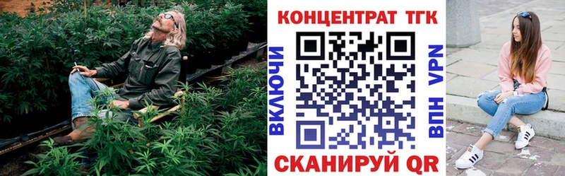 OMG как зайти  Северск  ТГК концентрат 