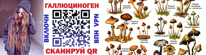Галлюциногенные грибы Magic Shrooms  купить   Северск 